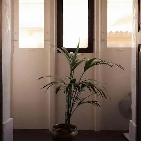 Grand House Of Character Valletta Villa *